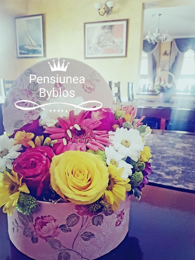 Pensiunea Byblos Piatra Neamţ Exteriér fotografie